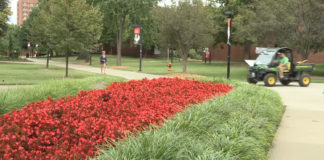 UofL's Ground Crew includes about 12 staff members who work year-round to ensure the entire campus looks good.