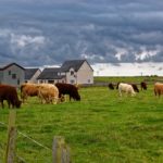 A stock image of a farm in rural Kentucky.