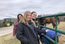 Students in the UofL Equine Industry Program.