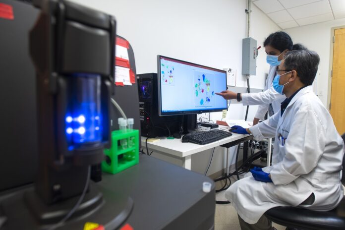 Two scientists at a computer workstation