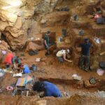 View of the excavation of the early modern human (foreground) and Neanderthal layers (background) in Lapa do Picareiro. Photo by Jonathan Haws.