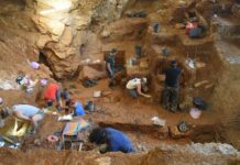 View of the excavation of the early modern human (foreground) and Neanderthal layers (background) in Lapa do Picareiro. Photo by Jonathan Haws.