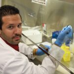 Ramon Batista Torres, a Medical Education Development program alumnus, how is a second-year medical student at UofL.