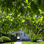 Leafy branches frame the entrance to Grawemeyer Hall on UofL’s Belknap Campus. UofL photo.