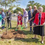 Individuals with shovels planting a tree.