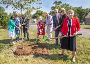 Individuals with shovels planting a tree.