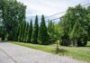 A residential area showing trees and shrubs added for the Green Heart Louisville Project. Photo credit: Mike Wilkinson for The Nature Conservancy.