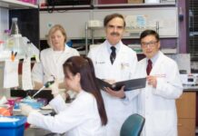 UofL cardiologist Roberto Bolli, center, leads a new, multicenter clinical trial of an IV-delivered stem cell therapy for heart failure at the University of Louisville and UofL Health. UofL photo.