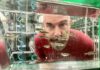 Ben Lovely looks through a fishtank with swimming zebrafish.