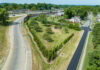 Trees planted along Watterson Expressway/Interstate 264 in Louisville, KY for the Green Heart Louisville Project. Photo by Mike Wilkinson for The Nature Conservancy.