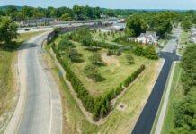 Trees planted along Watterson Expressway/Interstate 264 in Louisville, KY for the Green Heart Louisville Project. Photo by Mike Wilkinson for The Nature Conservancy.