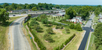 Trees planted along Watterson Expressway/Interstate 264 in Louisville, KY for the Green Heart Louisville Project. Photo by Mike Wilkinson for The Nature Conservancy.