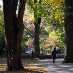 Student walks through campus as leaves fall to the ground.