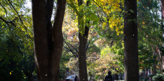 Student walks through campus as leaves fall to the ground.